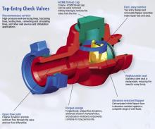 Top-Entry Check Valves