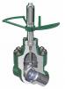 DEMCO® Series DM 7500 GATE VALVES